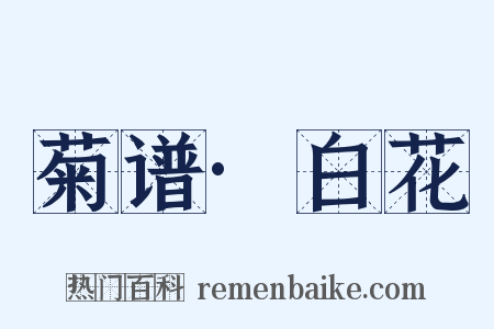 菊谱·白花是什么意思的图片